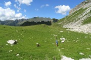 75 Dalla Bocchetta di Corna Piana discesa su ghiaioni e pratoni al Passo Branchino